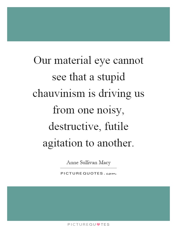 Our material eye cannot see that a stupid chauvinism is driving us from one noisy, destructive, futile agitation to another Picture Quote #1