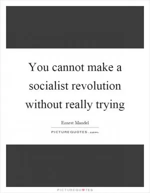 You cannot make a socialist revolution without really trying Picture Quote #1
