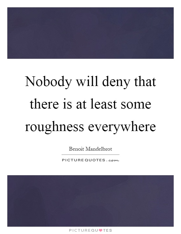 Nobody will deny that there is at least some roughness everywhere Picture Quote #1