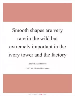 Smooth shapes are very rare in the wild but extremely important in the ivory tower and the factory Picture Quote #1