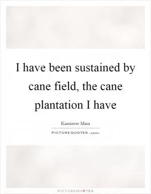 I have been sustained by cane field, the cane plantation I have Picture Quote #1