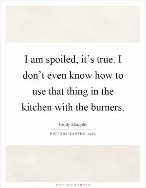I am spoiled, it’s true. I don’t even know how to use that thing in the kitchen with the burners Picture Quote #1
