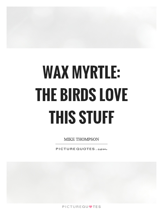 Wax myrtle: The birds love this stuff Picture Quote #1