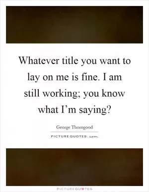 Whatever title you want to lay on me is fine. I am still working; you know what I’m saying? Picture Quote #1