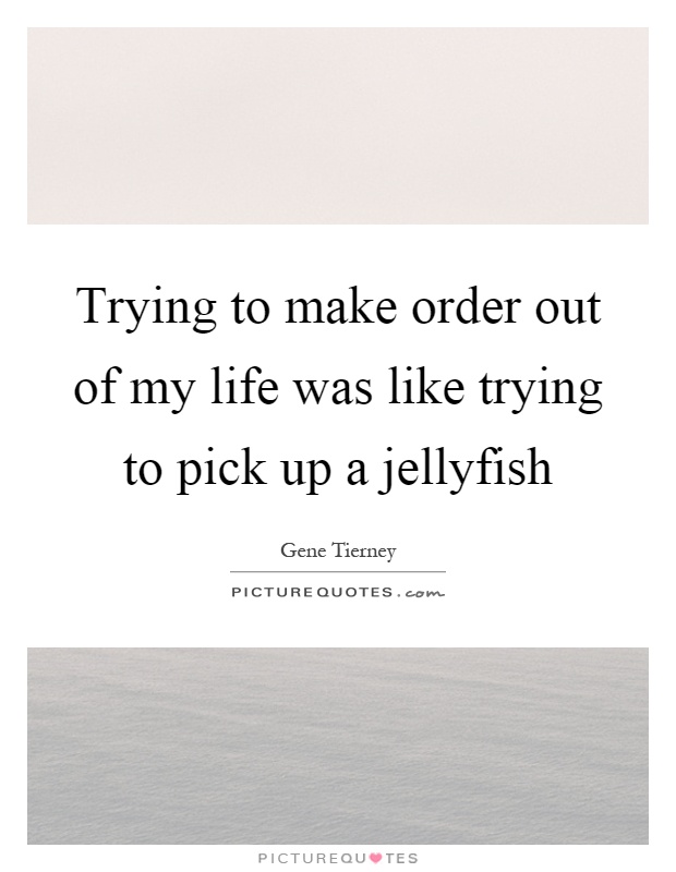 Trying to make order out of my life was like trying to pick up a jellyfish Picture Quote #1