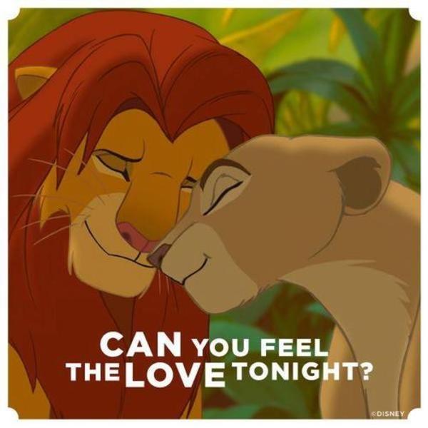 Can you feel the love tonight Picture Quote #1