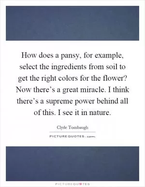 How does a pansy, for example, select the ingredients from soil to get the right colors for the flower? Now there’s a great miracle. I think there’s a supreme power behind all of this. I see it in nature Picture Quote #1