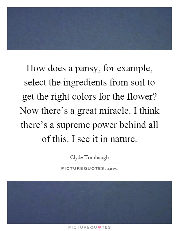 How does a pansy, for example, select the ingredients from soil to get the right colors for the flower? Now there's a great miracle. I think there's a supreme power behind all of this. I see it in nature Picture Quote #1