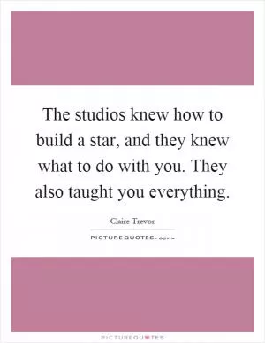 The studios knew how to build a star, and they knew what to do with you. They also taught you everything Picture Quote #1