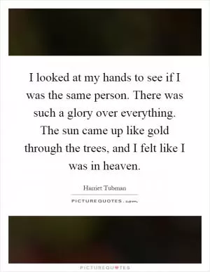 I looked at my hands to see if I was the same person. There was such a glory over everything. The sun came up like gold through the trees, and I felt like I was in heaven Picture Quote #1