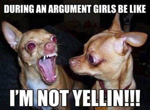 During an argument girls be like - I’M NOT YELLIN!!! Picture Quote #1