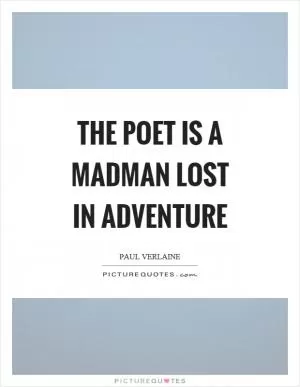 The poet is a madman lost in adventure Picture Quote #1