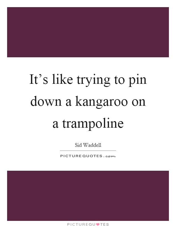 It's like trying to pin down a kangaroo on a trampoline Picture Quote #1