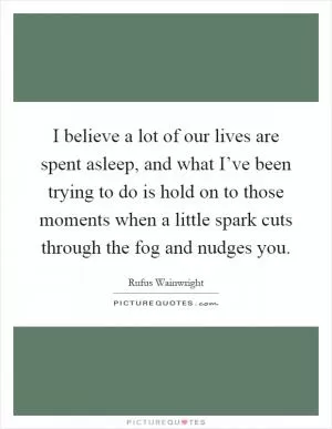 I believe a lot of our lives are spent asleep, and what I’ve been trying to do is hold on to those moments when a little spark cuts through the fog and nudges you Picture Quote #1
