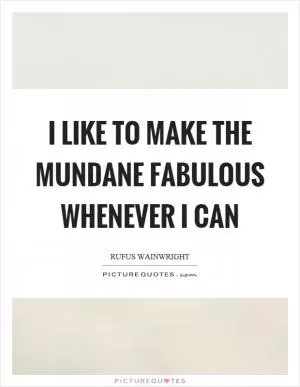 I like to make the mundane fabulous whenever I can Picture Quote #1