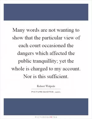 Many words are not wanting to show that the particular view of each court occasioned the dangers which affected the public tranquillity; yet the whole is charged to my account. Nor is this sufficient Picture Quote #1