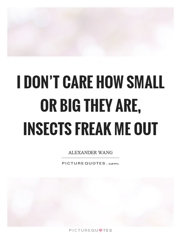I don't care how small or big they are, insects freak me out Picture Quote #1