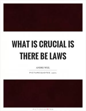 What is crucial is there be laws Picture Quote #1