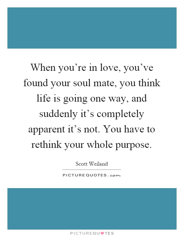 When you're in love, you've found your soul mate, you think life is going one way, and suddenly it's completely apparent it's not. You have to rethink your whole purpose Picture Quote #1