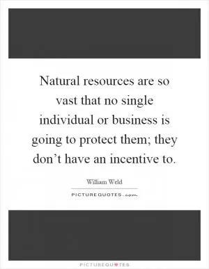 Natural resources are so vast that no single individual or business is going to protect them; they don’t have an incentive to Picture Quote #1