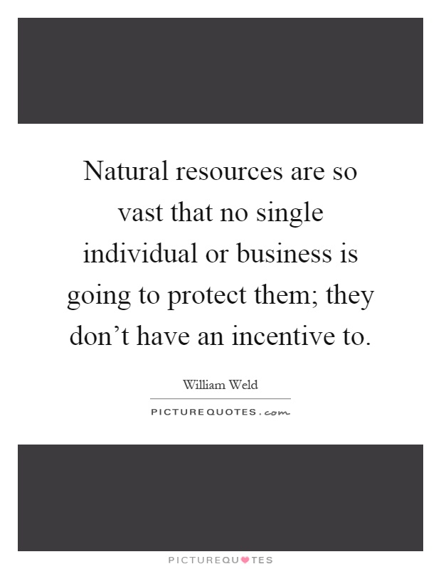 Natural resources are so vast that no single individual or business is going to protect them; they don't have an incentive to Picture Quote #1