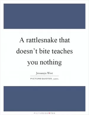 A rattlesnake that doesn’t bite teaches you nothing Picture Quote #1