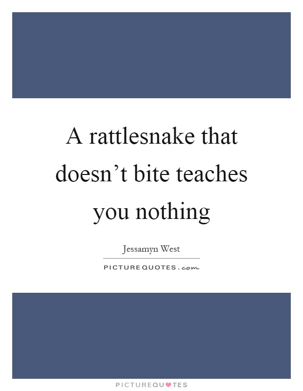 A rattlesnake that doesn't bite teaches you nothing Picture Quote #1