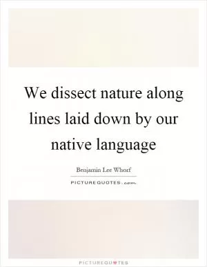 We dissect nature along lines laid down by our native language Picture Quote #1