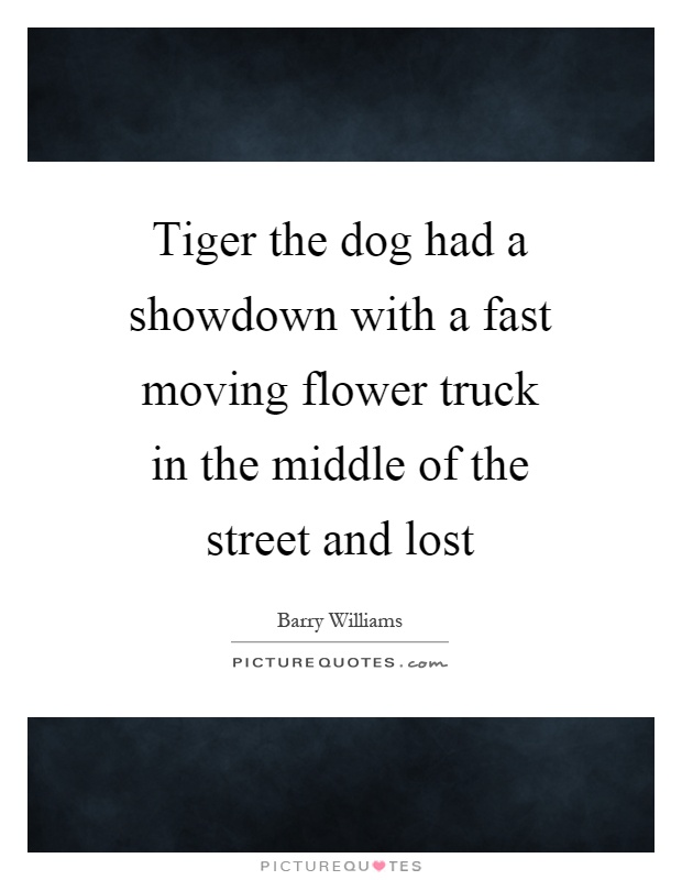 Tiger the dog had a showdown with a fast moving flower truck in the middle of the street and lost Picture Quote #1