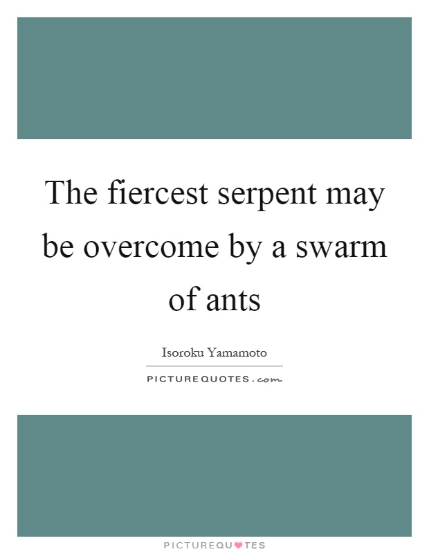 The fiercest serpent may be overcome by a swarm of ants Picture Quote #1