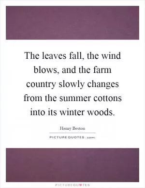 The leaves fall, the wind blows, and the farm country slowly changes from the summer cottons into its winter woods Picture Quote #1