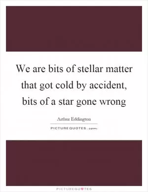 We are bits of stellar matter that got cold by accident, bits of a star gone wrong Picture Quote #1