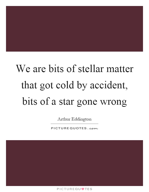 We are bits of stellar matter that got cold by accident, bits of a star gone wrong Picture Quote #1