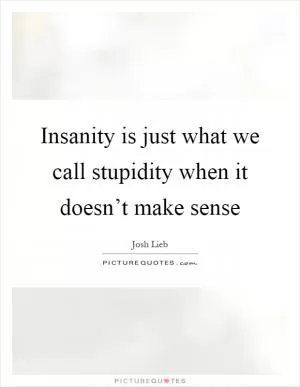 Insanity is just what we call stupidity when it doesn’t make sense Picture Quote #1