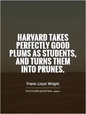 Harvard takes perfectly good plums as students, and turns them into prunes Picture Quote #1