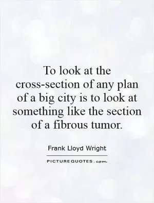 To look at the cross-section of any plan of a big city is to look at something like the section of a fibrous tumor Picture Quote #1