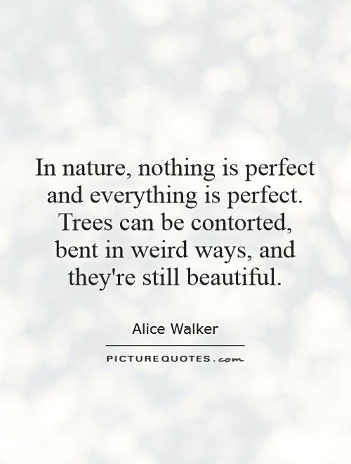 In nature, nothing is perfect and everything is perfect. Trees can be contorted, bent in weird ways, and they're still beautiful Picture Quote #1