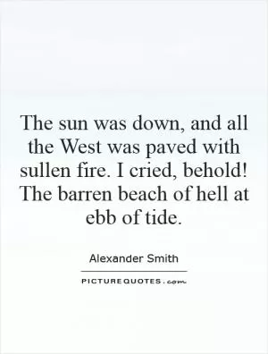 The sun was down, and all the West was paved with sullen fire. I cried, behold! The barren beach of hell at ebb of tide Picture Quote #1