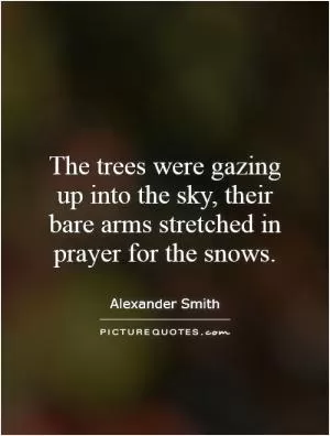 The trees were gazing up into the sky, their bare arms stretched in prayer for the snows Picture Quote #1