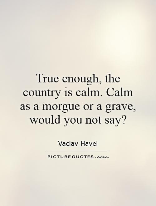True enough, the country is calm. Calm as a morgue or a grave, would you not say? Picture Quote #1