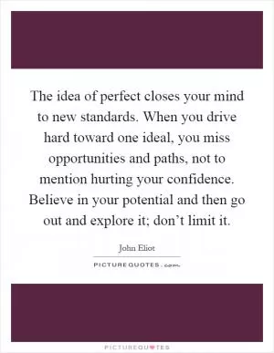 The idea of perfect closes your mind to new standards. When you drive hard toward one ideal, you miss opportunities and paths, not to mention hurting your confidence. Believe in your potential and then go out and explore it; don’t limit it Picture Quote #1