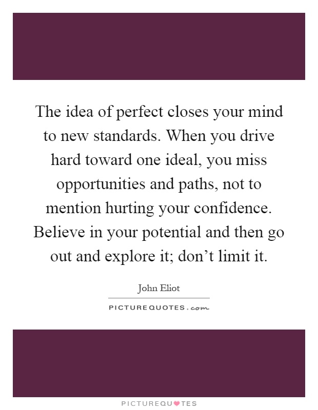 The idea of perfect closes your mind to new standards. When you drive hard toward one ideal, you miss opportunities and paths, not to mention hurting your confidence. Believe in your potential and then go out and explore it; don't limit it Picture Quote #1