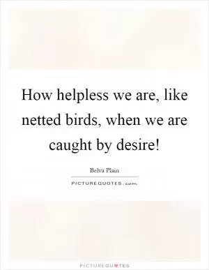 How helpless we are, like netted birds, when we are caught by desire! Picture Quote #1