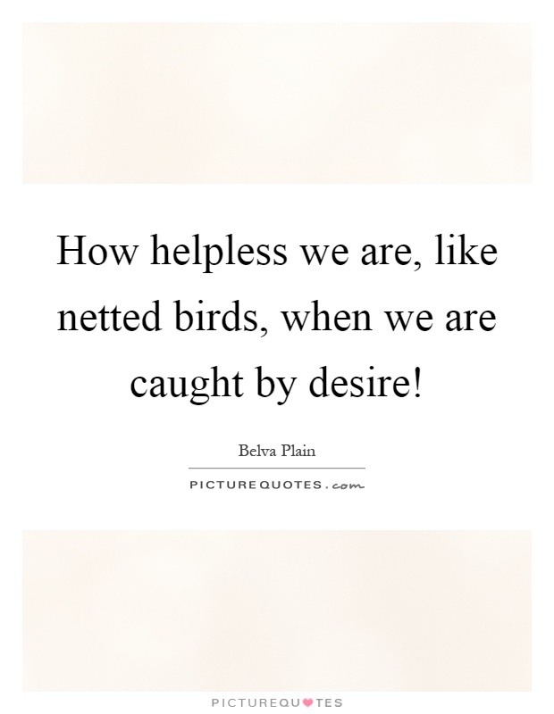 How helpless we are, like netted birds, when we are caught by desire! Picture Quote #1