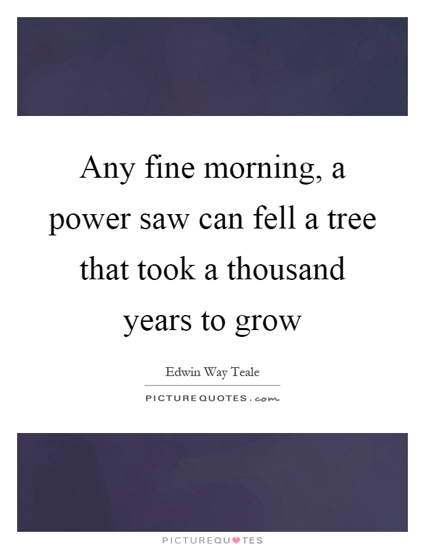 Any fine morning, a power saw can fell a tree that took a thousand years to grow Picture Quote #1