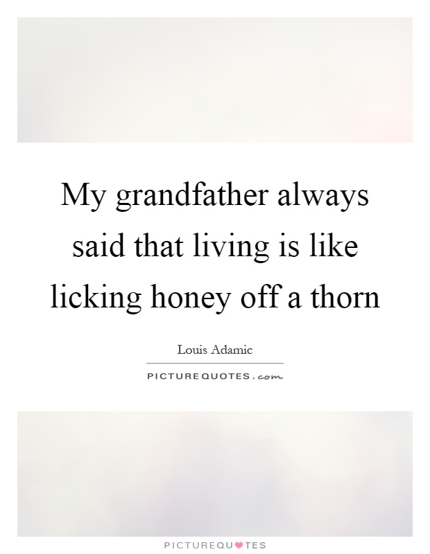 My grandfather always said that living is like licking honey off a thorn Picture Quote #1