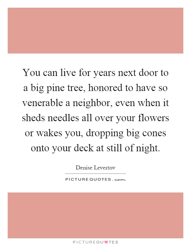 You can live for years next door to a big pine tree, honored to have so venerable a neighbor, even when it sheds needles all over your flowers or wakes you, dropping big cones onto your deck at still of night Picture Quote #1