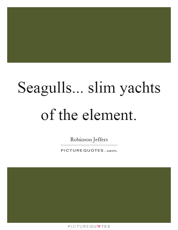 Seagulls... slim yachts of the element Picture Quote #1