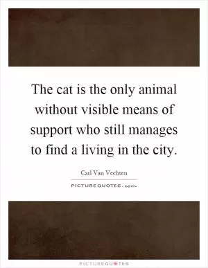 The cat is the only animal without visible means of support who still manages to find a living in the city Picture Quote #1