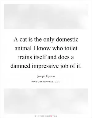 A cat is the only domestic animal I know who toilet trains itself and does a damned impressive job of it Picture Quote #1